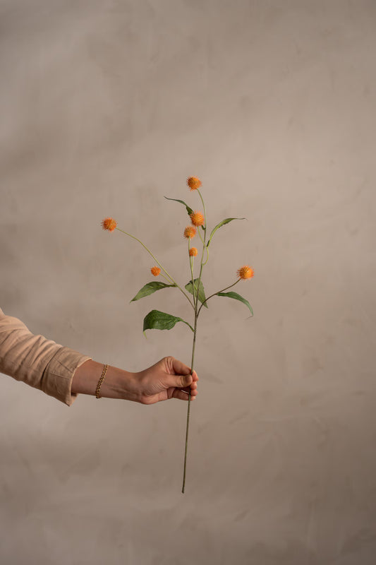 Tistel - Rosa