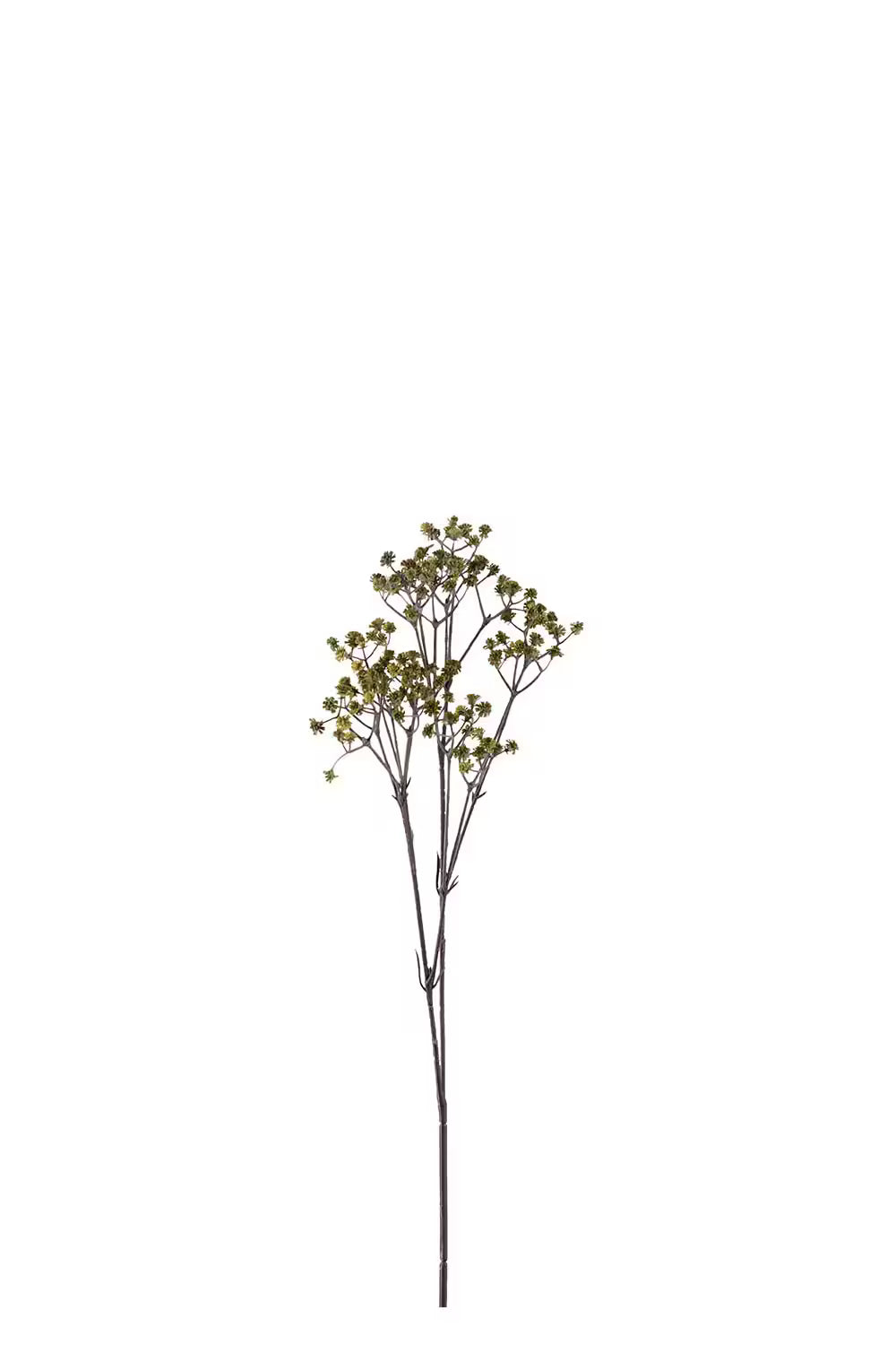 Brudslöja - 75cm - Grön