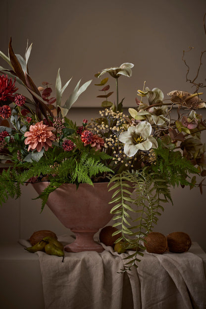 Eucalyptus - Rosa