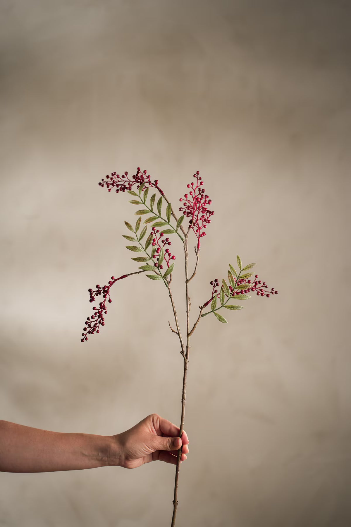 Bärkvist - 70cm - Röd