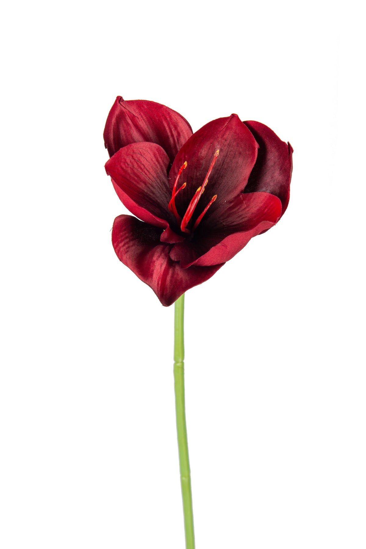 Amaryllis - 40cm - Röd