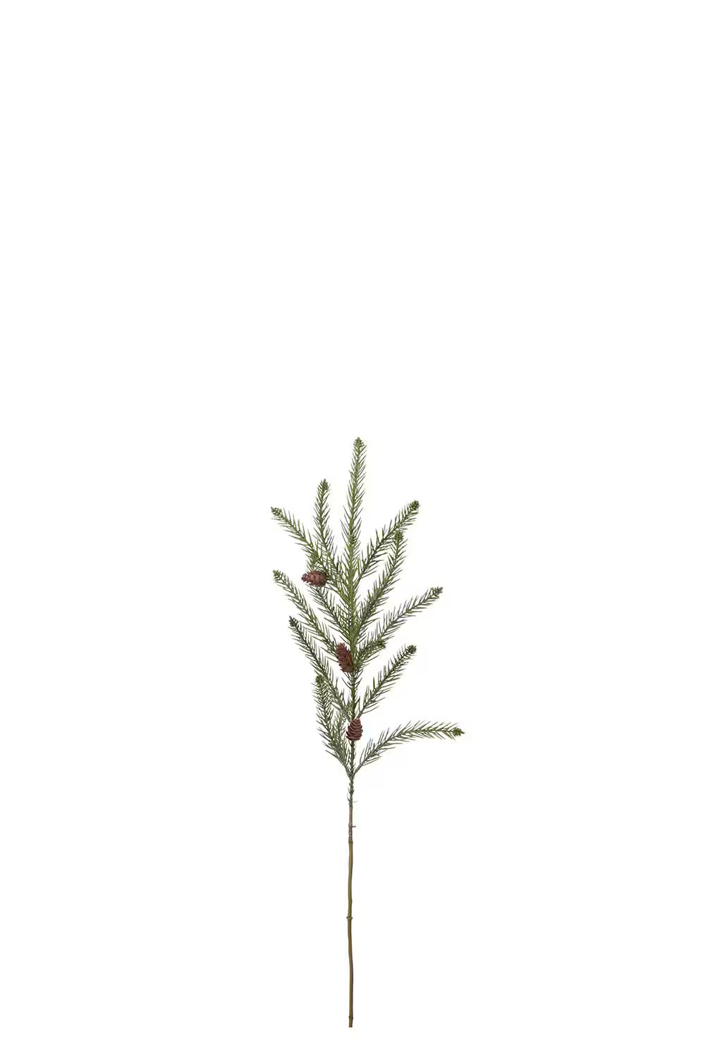 Grankvist Med Kottar - 85cm - Grön