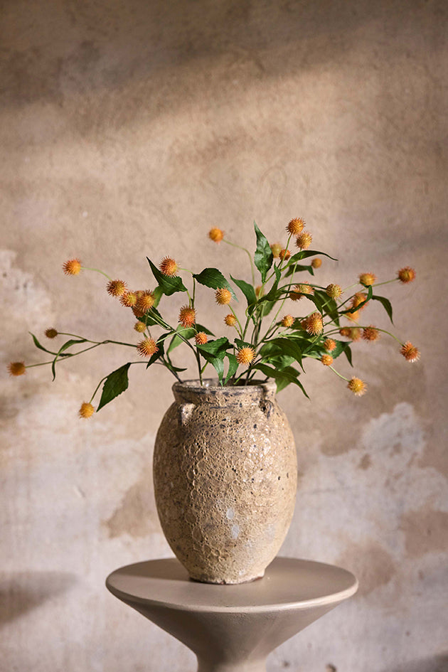 Tistel - Rosa