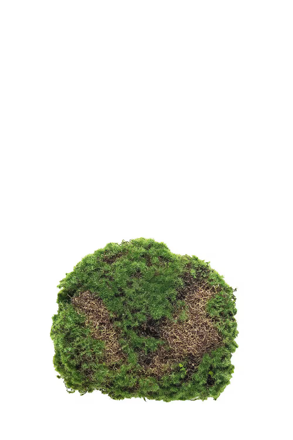 Mosskudde - 20cm - Grön