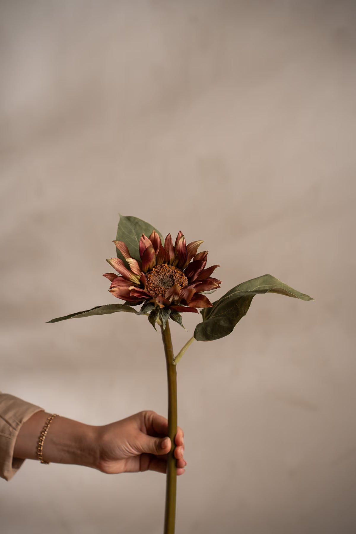 Solros - 50cm - Lila