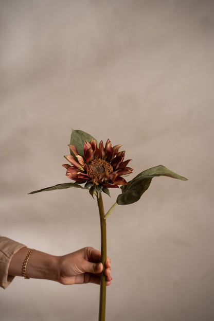 Solros - 50cm - Lila