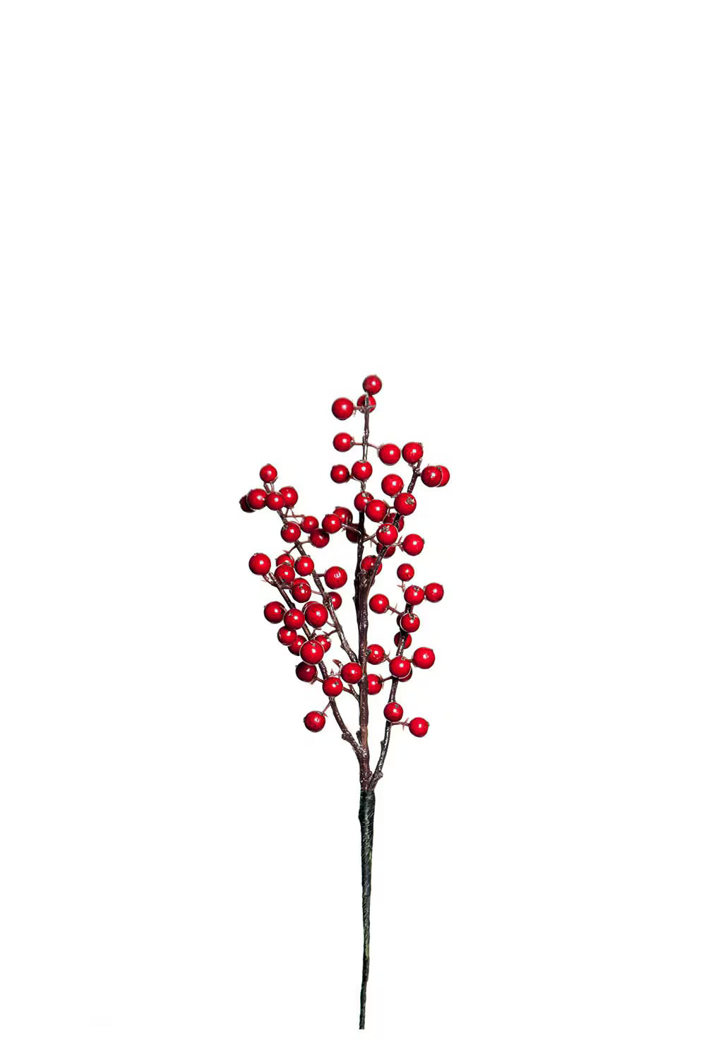 Bärkvist - 35cm - Röd