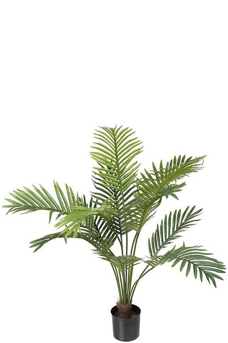 Palm - Smala Blad - 80cm