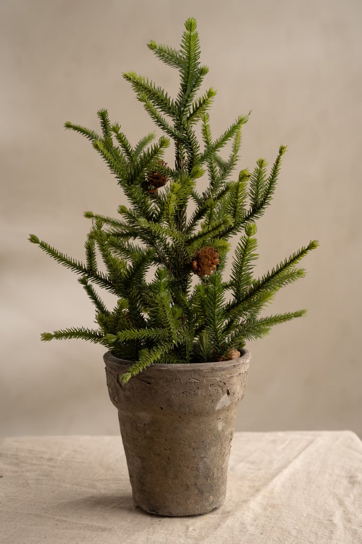 Gran Med Kottar - 45cm - Grön