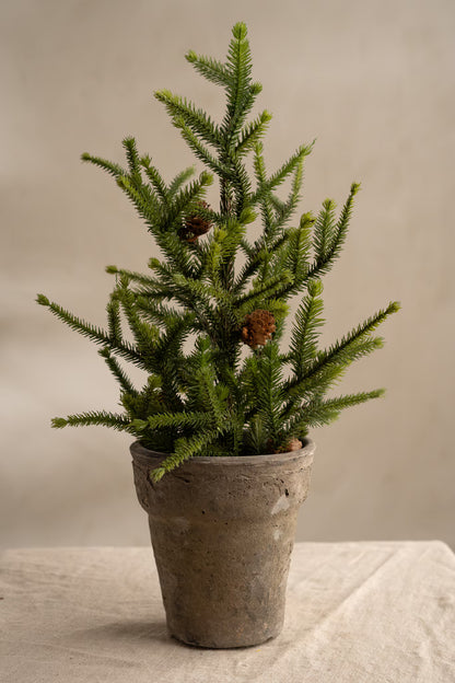 Gran Med Kottar - 45cm - Grön