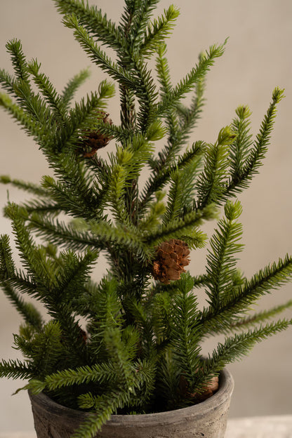 Gran Med Kottar - 45cm - Grön