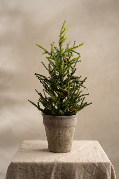 Gran Med Kottar - 55cm - Grön