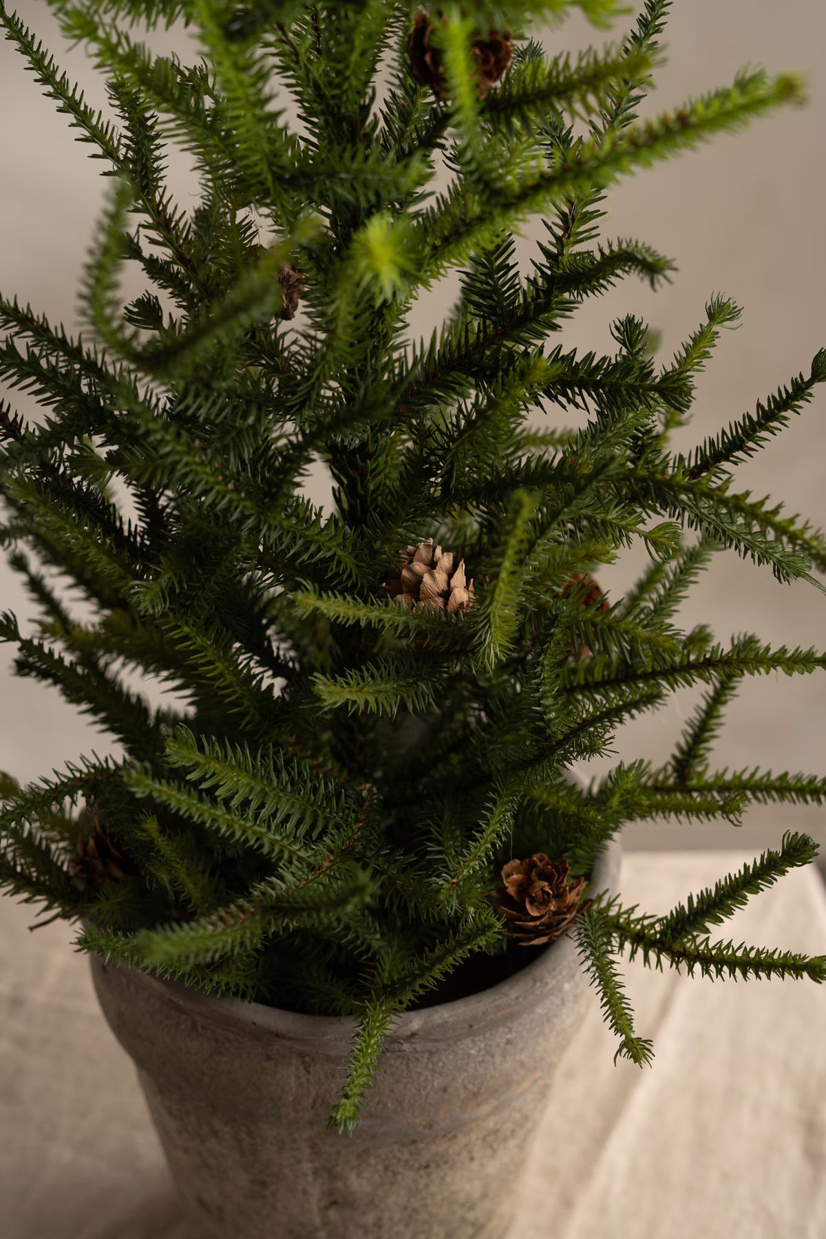 Gran Med Kottar - 55cm - Grön