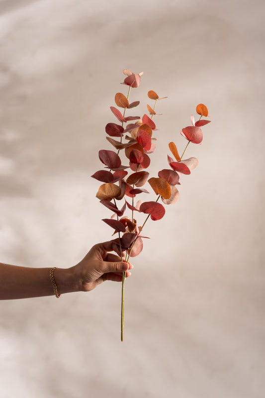 Eucalyptus - 60cm - Burgundy