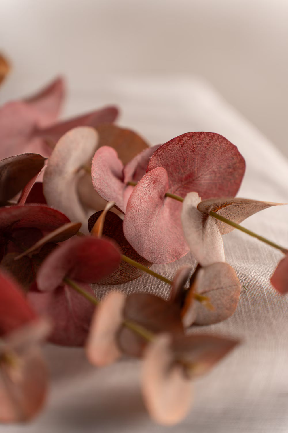 Eucalyptus - 60cm - Burgundy