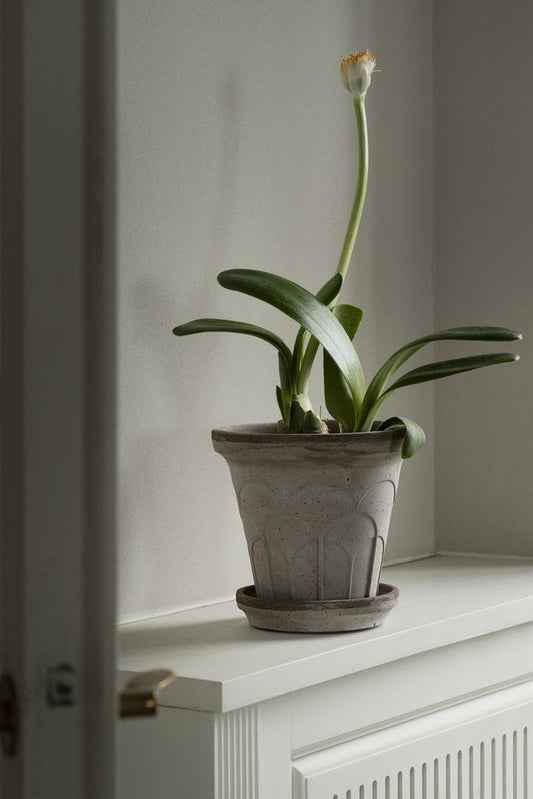 Kruka Ø20cm - Fleur - RAW - Grå