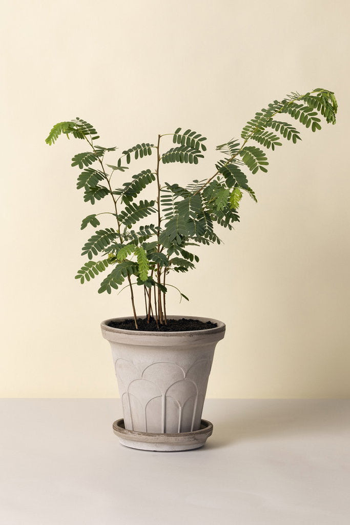 Kruka Ø18cm - Fleur - RAW - Grå