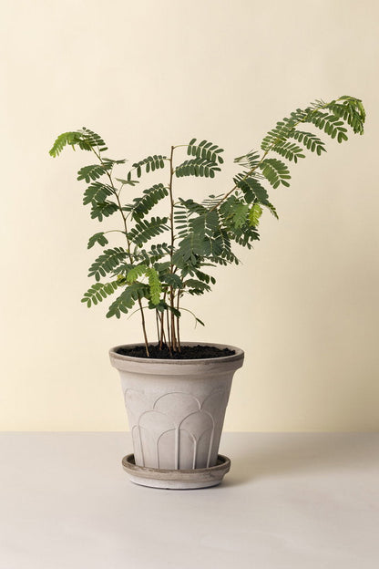 Kruka Ø18cm - Fleur - RAW - Grå