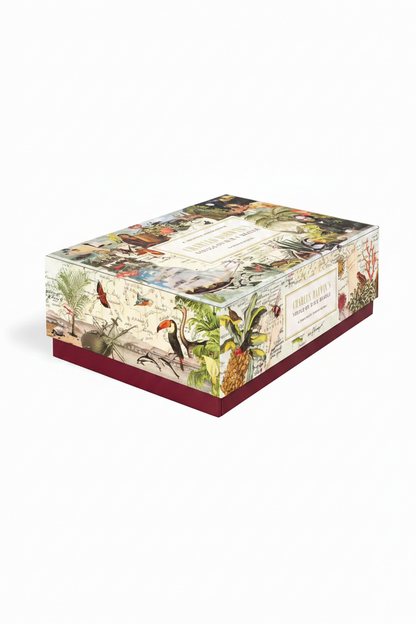 Pussel 1000 Bitar - Charles Darwin's Voyage