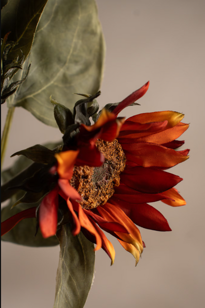 Solros - 74cm - Orange