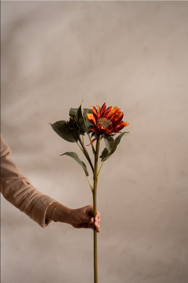 Solros - 74cm - Orange