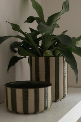 Kruka - Line - Green