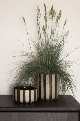 Kruka - Line - Green