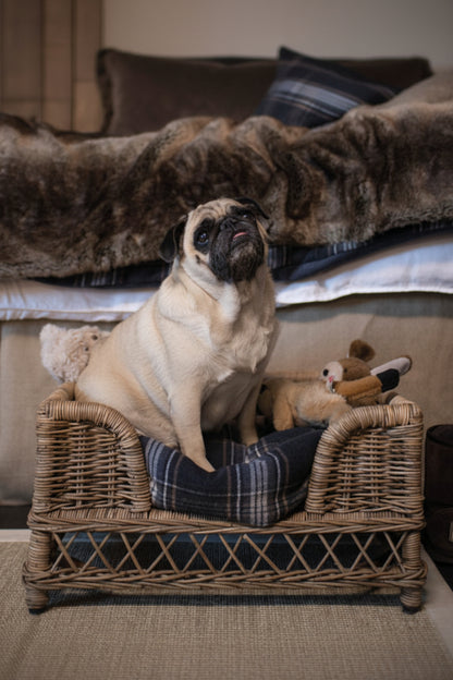 Dog Basket - Brussel - Rotting