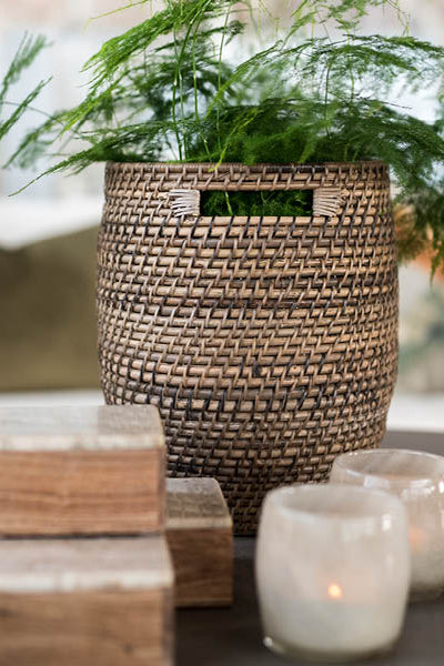 Korg - Amazon - Natur